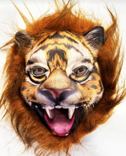 ASLAN MASKESİ